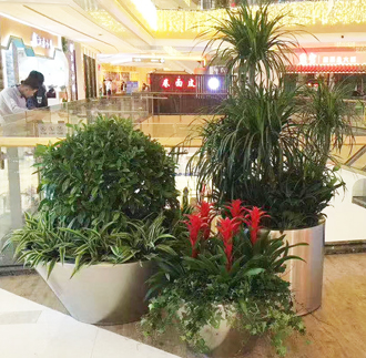 �����̻�ֲ������